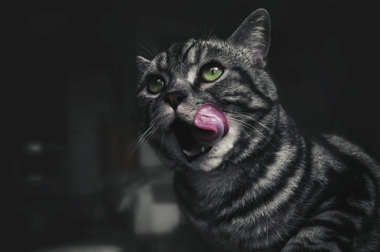 A striped cat with green eyes licking its nose, showcasing playful behavior indoors.